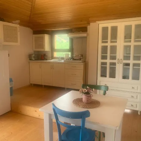 Cozy House With Sea View Balcony And Terrace Close To Datca Daire *