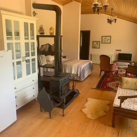 Daire Cozy House With Sea View Balcony And Terrace Close To Datca