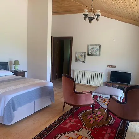Daire Cozy House With Sea View Balcony And Terrace Close To Datca *